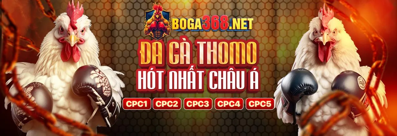 Trải Nghiệm Chân Thực